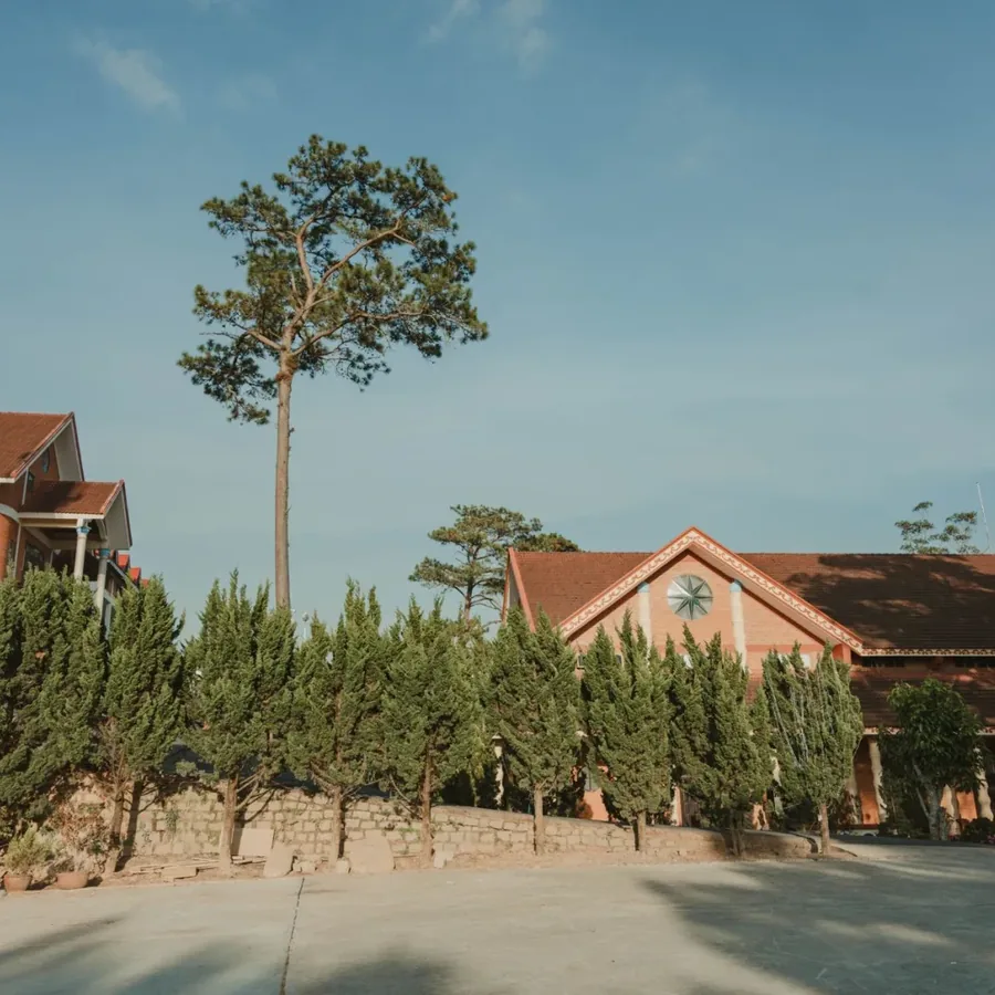 Hình ảnh tại Võ Văn Long 1